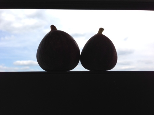 Figs and Sky